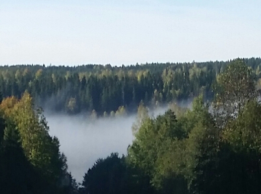 Naturväsen